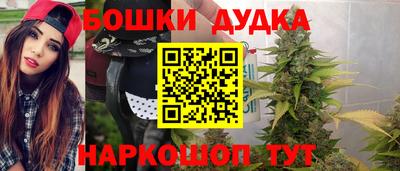 прущие грибы Канаш