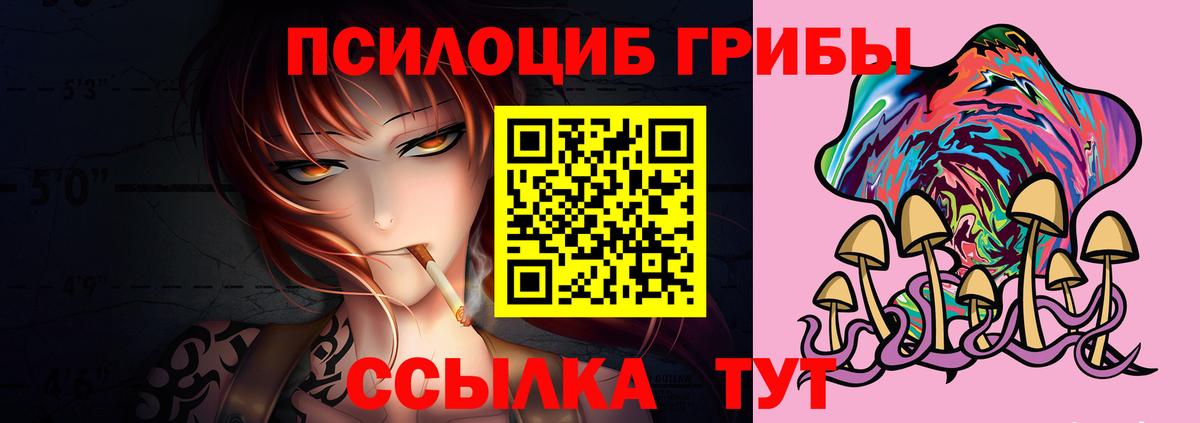 Галлюциногенные грибы прущие грибы  Вход с VPN  Кубинка 