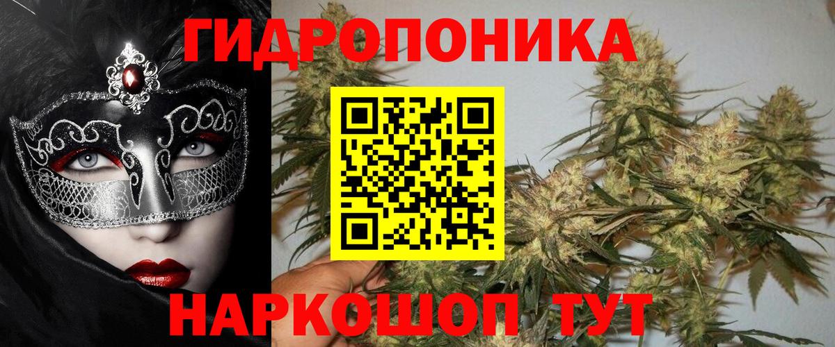 Марихуана Bruce Banner Кубинка